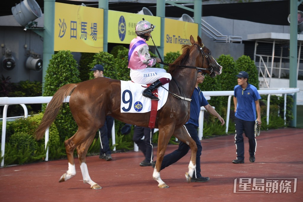 「風繼續吹」今季三戰均有獎金收，今場初配巴米高，尋求突破成績。