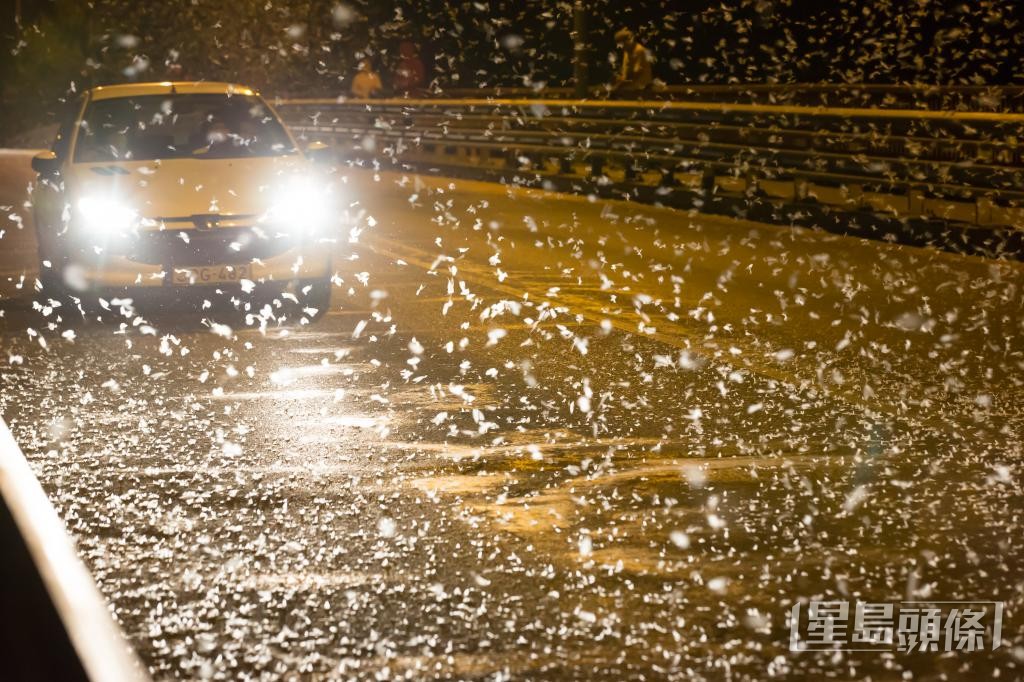 有外國研究推算,過去10年車燈發光量增加22%。 有外國研究推算,過去10年車燈發光量增加22%。