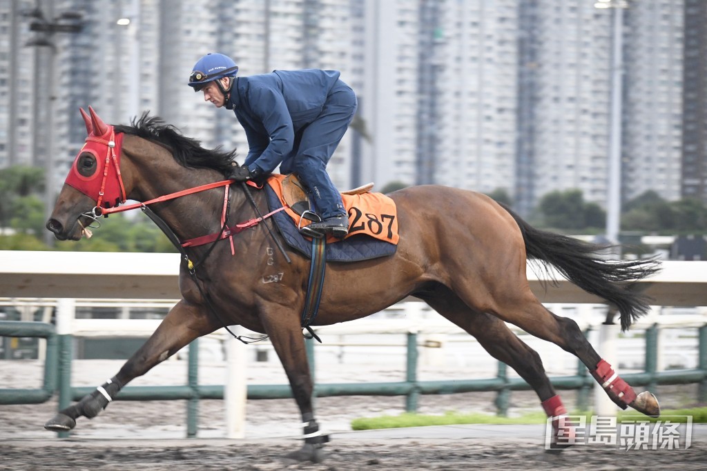 「文明戰士」步伐穩健力度足夠，馬身更壯更札實。