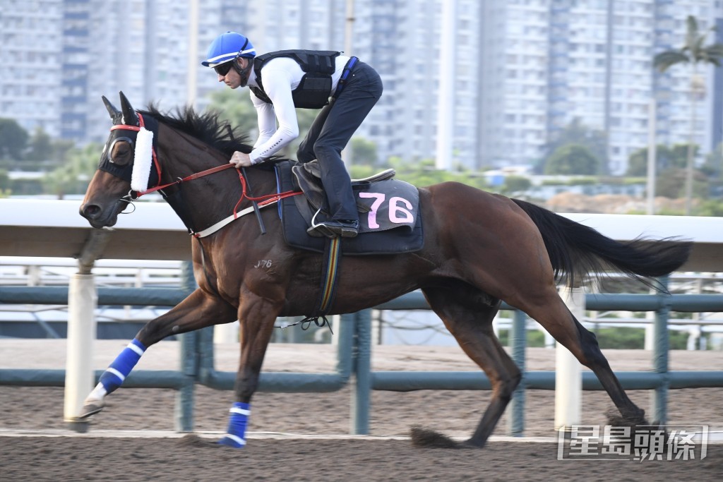 「聖托里尼」跑姿越見熟練，進度理想。