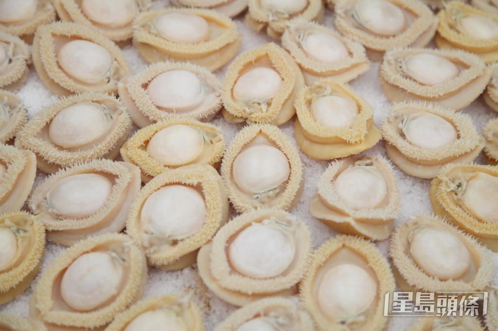 鮑魚養殖場的出品穩定。 鮑魚養殖場的出品穩定。