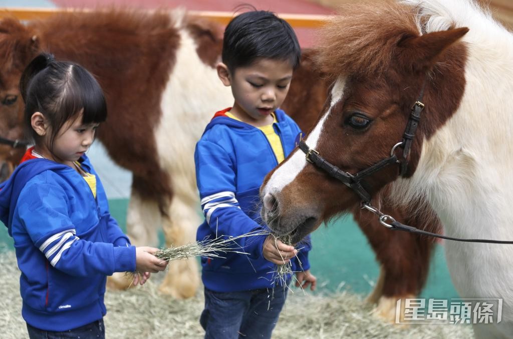 有意見盼在賽馬時段開放沙田彭福公園，並增設賽馬相關遊戲和活動。