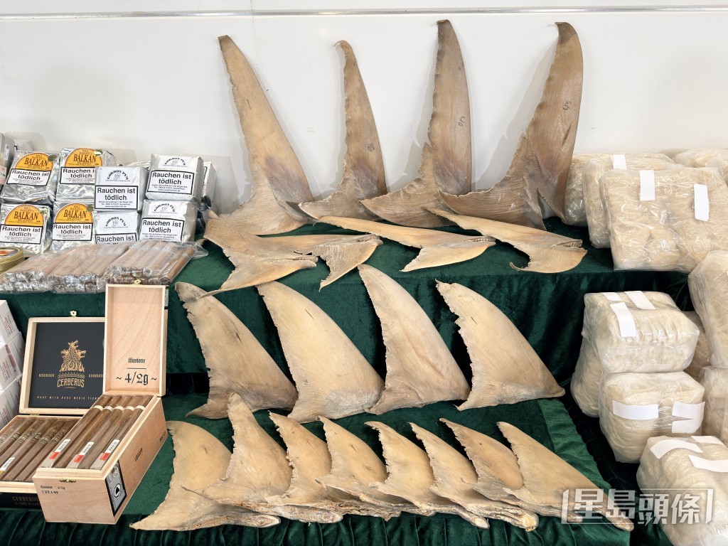 檢獲受管制的乾魚翅。