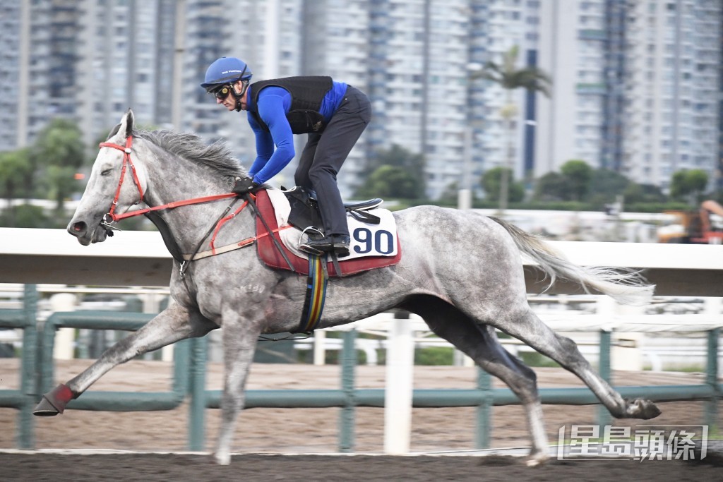  「凱明神駒」走勢硬淨勁度充沛，弗到不得了。