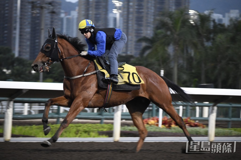 「建測羣英」馬身收得壯碩，外觀吸引，態無不妥。