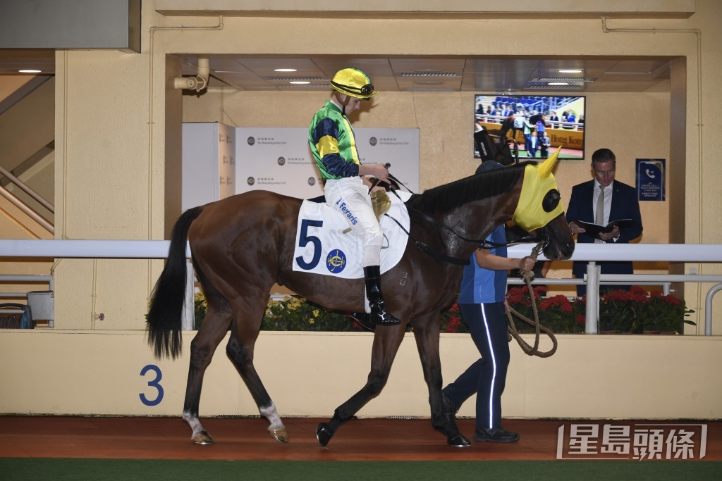 「精選威」若臨場發揮出本身實力，有機會走入前列。