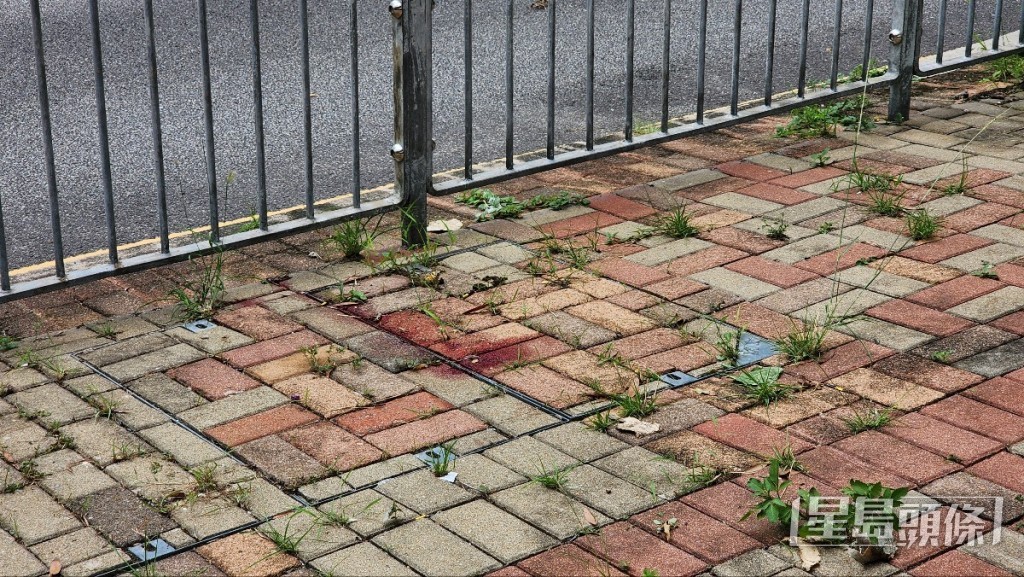 行人路上遺下血迹。黃文威攝 行人路上遺下血迹。黃文威攝