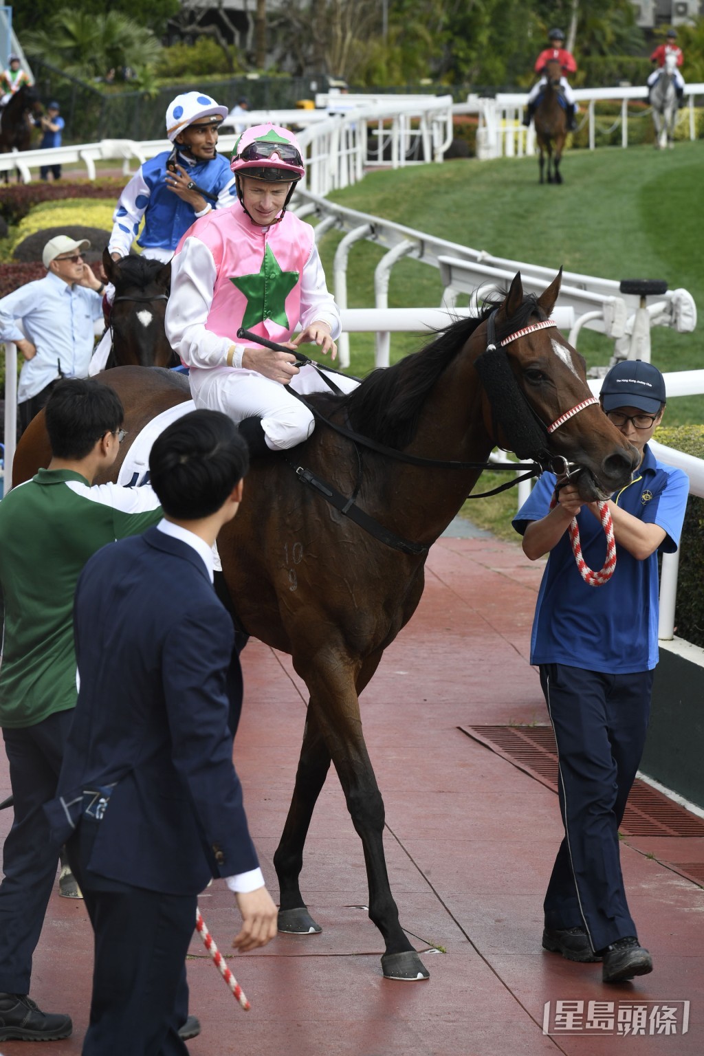 「幸運芙蓉」今次負磅不重且排內檔，有機連捷。