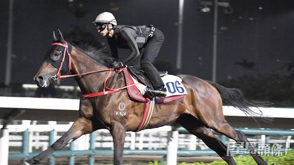 「知道穩勝」走勢爽勁有力，佳態保持有餘。