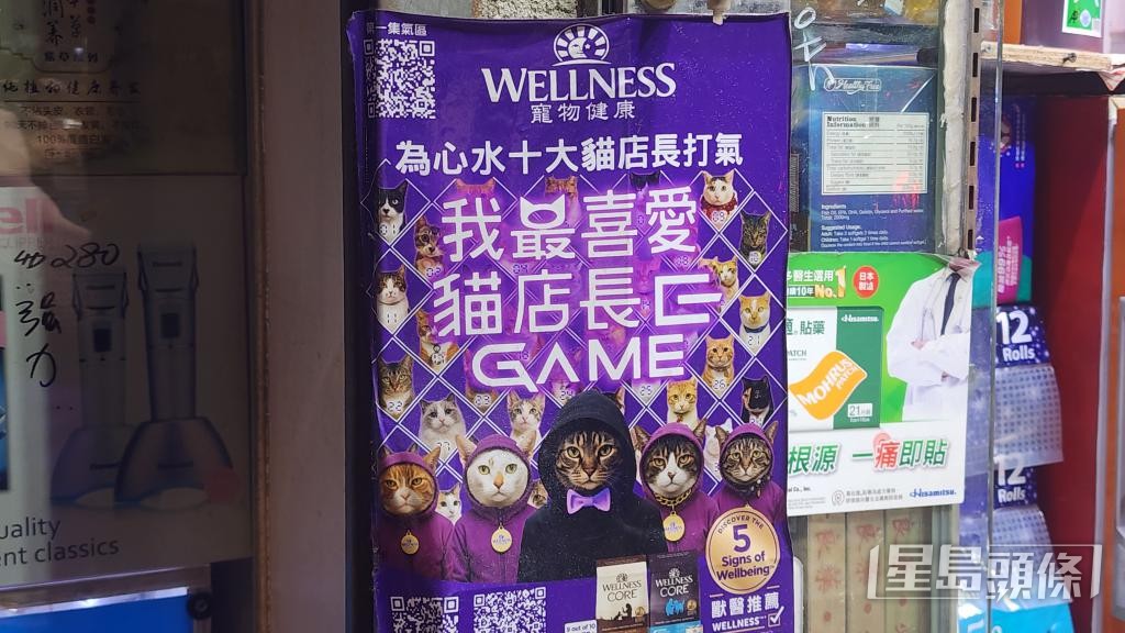 貓店長人氣高,坊間更舉辦「貓店長選舉」。 貓店長人氣高,坊間更舉辦「貓店長選舉」。