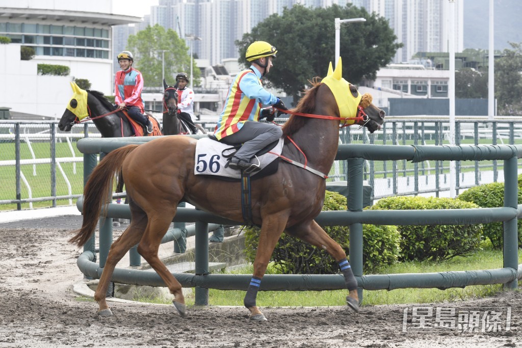 「志滿同行」扣住而馳心火湧現，身光頸靚外觀省鏡。