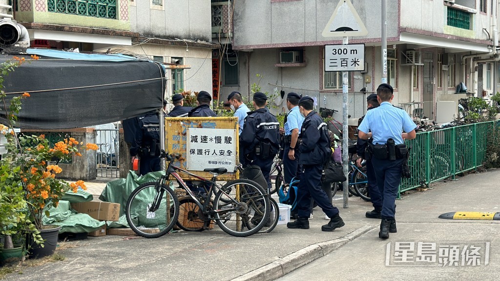 藍帽子到場為重組案情維持秩序。梁國峰攝