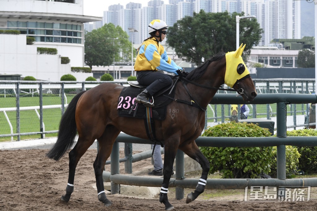 「勁先生」有力贏馬補中，取得今季第三場頭馬。