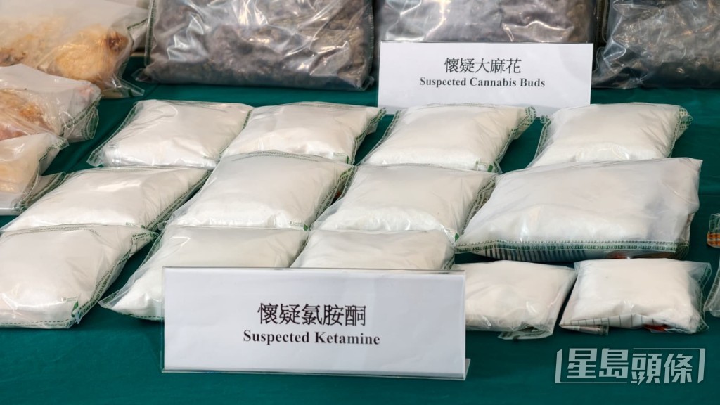 懷疑氯胺酮。 懷疑氯胺酮。