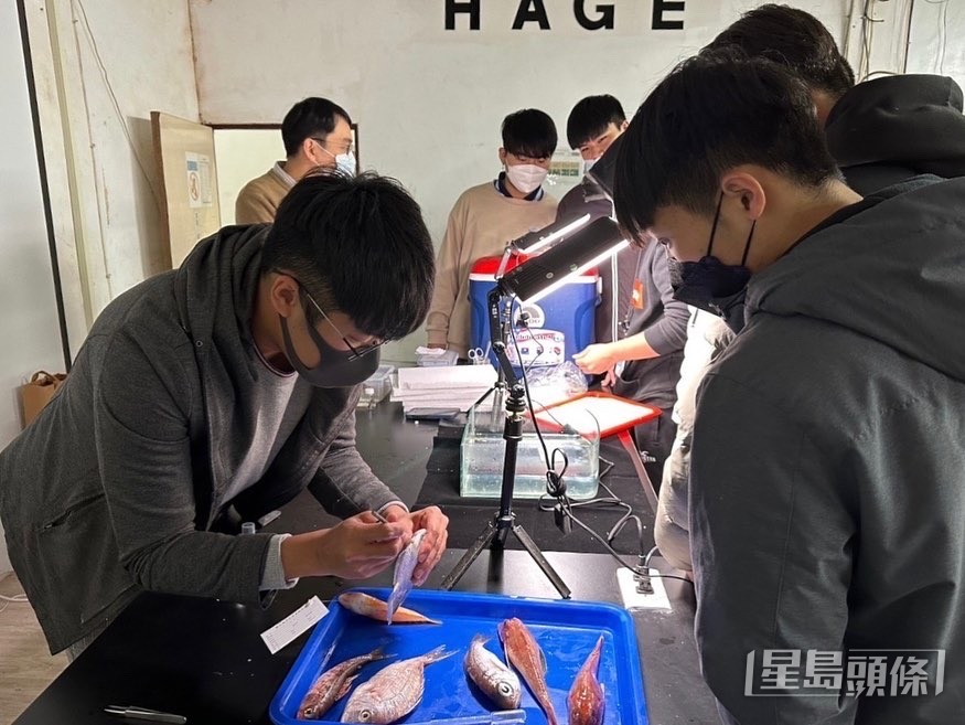 黎諾維在台灣累積海洋教育經驗,返港後回饋社會。 黎諾維在台灣累積海洋教育經驗,返港後回饋社會。