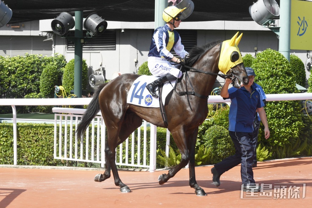 「光辉岁月」周六将列阵泥地千八米。