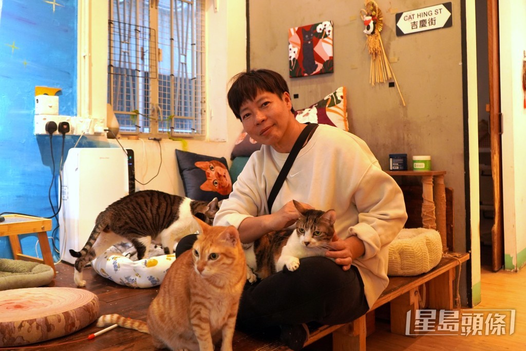 張敏芳在2012年成立「大澳流浪貓之家」。 張敏芳在2012年成立「大澳流浪貓之家」。