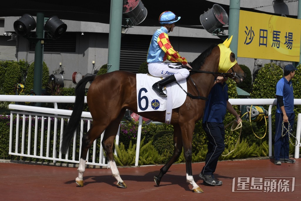 「妙算奇勝」上場在谷草千八米後上跑第三。