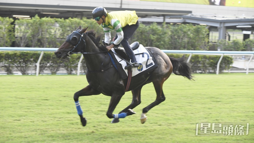  「同得威」有火有力，好耐未見過咁弗。