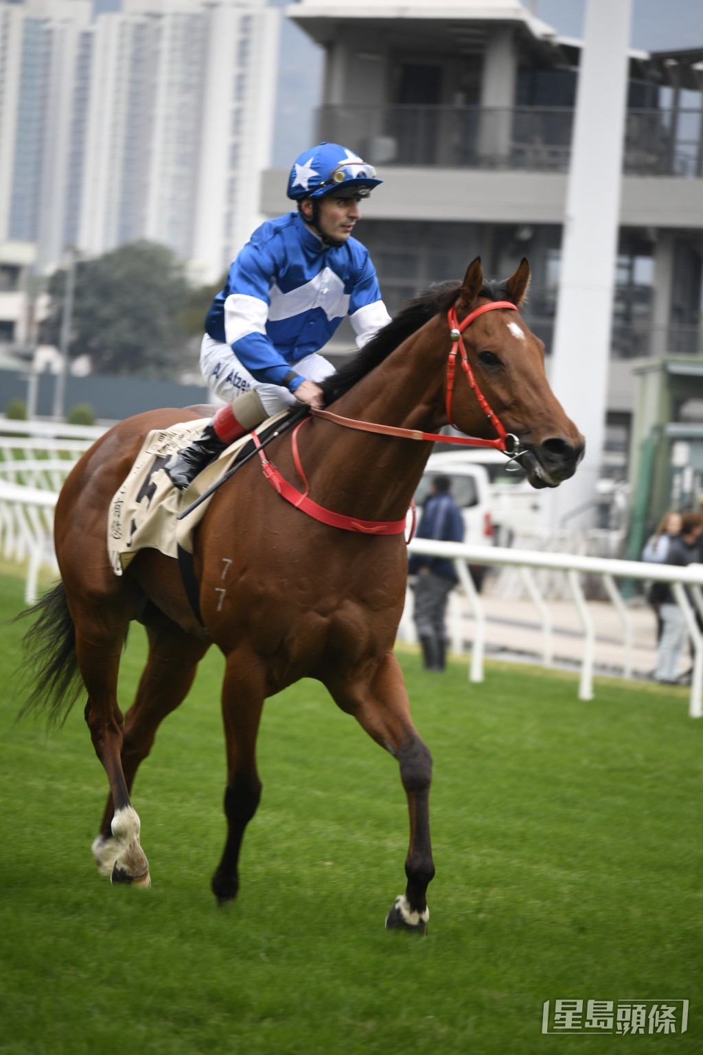 「幸運有您」明日力爭服役以來首場一級賽頭馬。