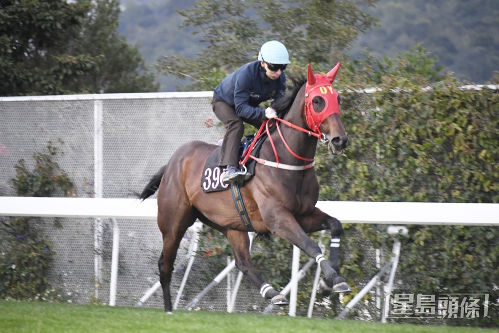 「富國兄弟」今朝出跳交出極佳走勢。