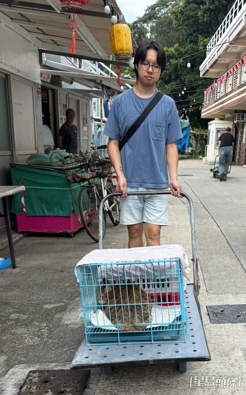 颱風來臨前，「大澳流浪貓之家」義工捕獲10多隻流浪貓，安排暫避。 受訪者提供 
