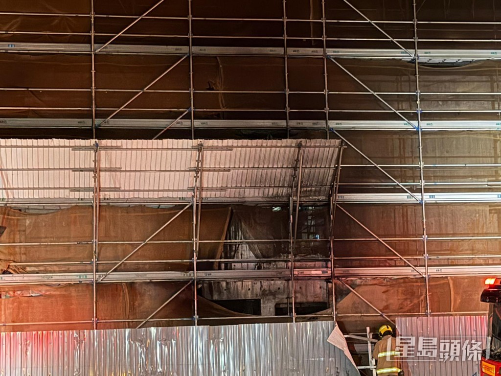 有棚網被過熏黑。 有棚網被過熏黑。