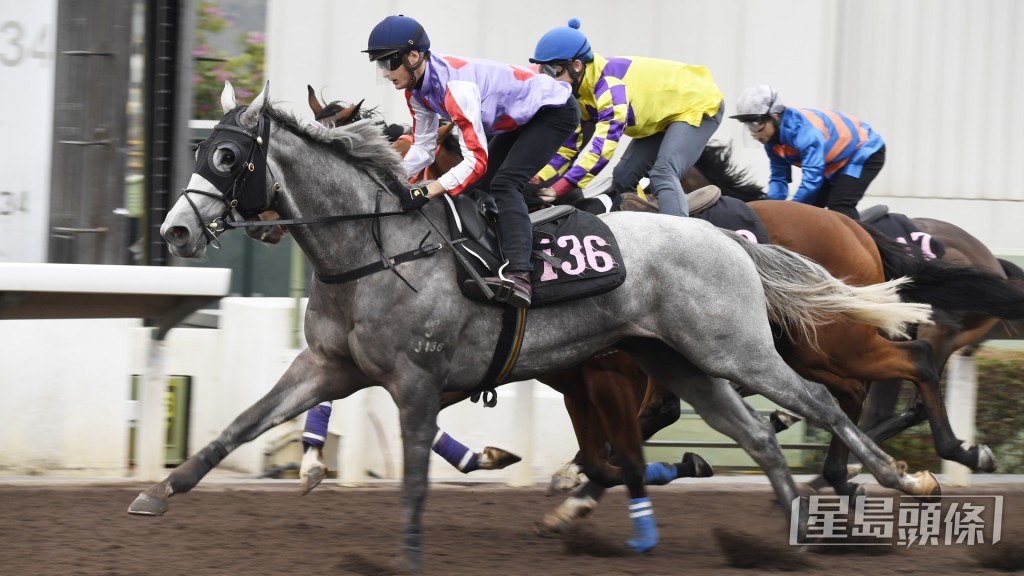班德禮指「精英雄心」今次再跑千六米，負全場最輕磅有望走得更接近。