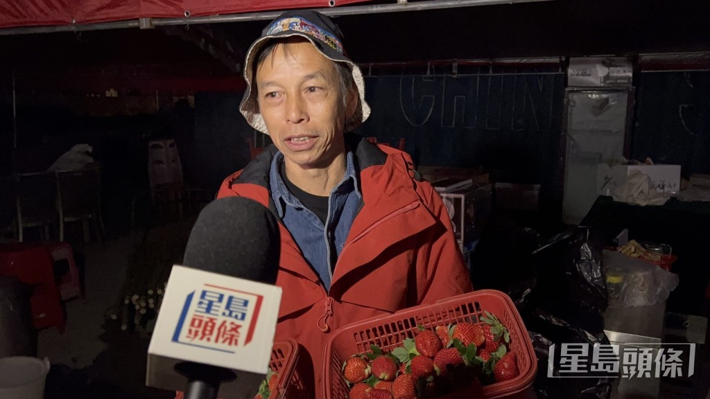 在附近經營士多啤梨園逾十年的林先生指出,雖然清晨收割時感到刺骨寒冷,但士多啤梨在攝氏0度至15度之間生長最為理想,顏色與味道會更佳,故未有被凍壞。蔡楚輝攝 在附近經營士多啤梨園逾十年的林先生指出,雖然清晨收割時感到刺骨寒冷,但士多啤梨在攝氏0度至15度之間生長最為理想,顏色與味道會更佳,故未有被凍壞。蔡楚輝攝