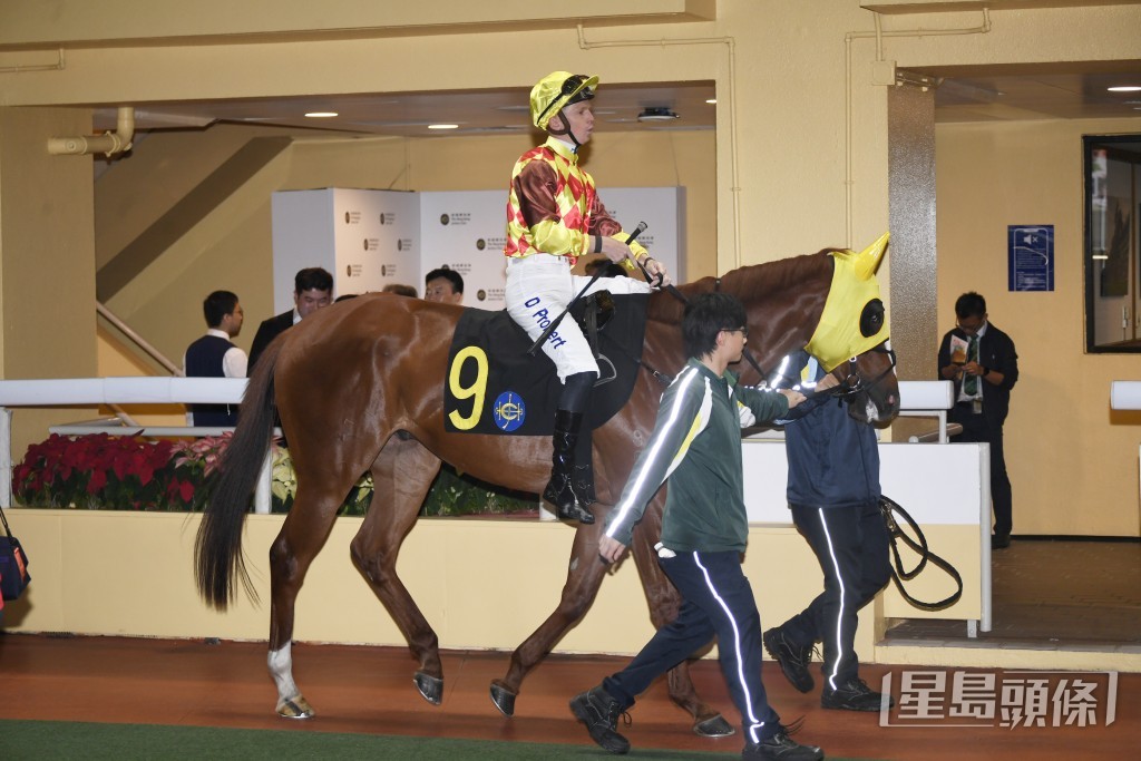 「天火同德」上仗在谷草千二米只落后头马两个马位过终点。