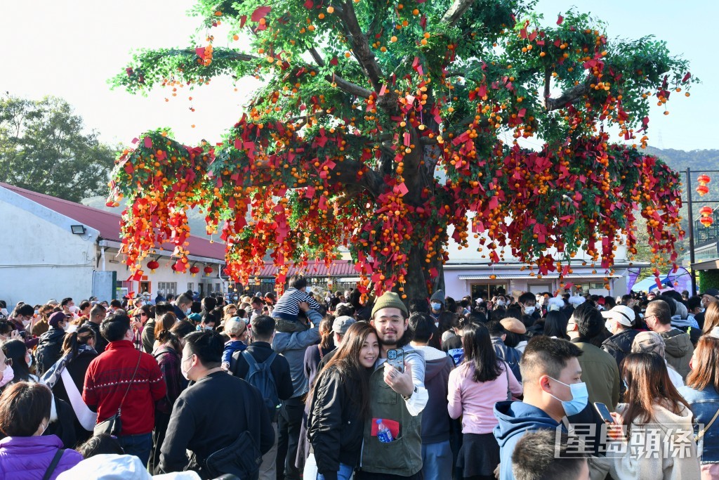 林村許願樹不但可家庭、事業、健康,亦可祈求姻緣 林村許願樹不但可家庭、事業、健康,亦可祈求姻緣