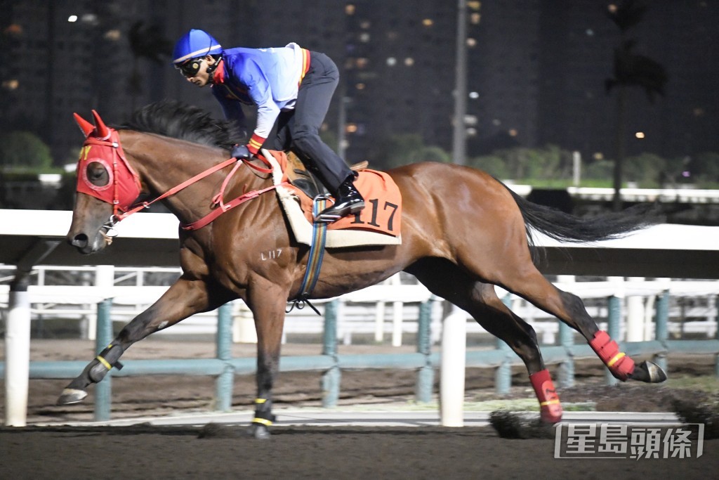 「偵探傳奇」快慢由人試得乖巧，保持上佳進度。