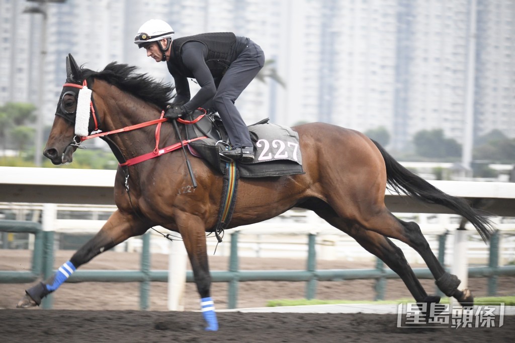  今朝潘顿出跳「追风」，表现快慢由人，再无头岳岳并抢口问题。