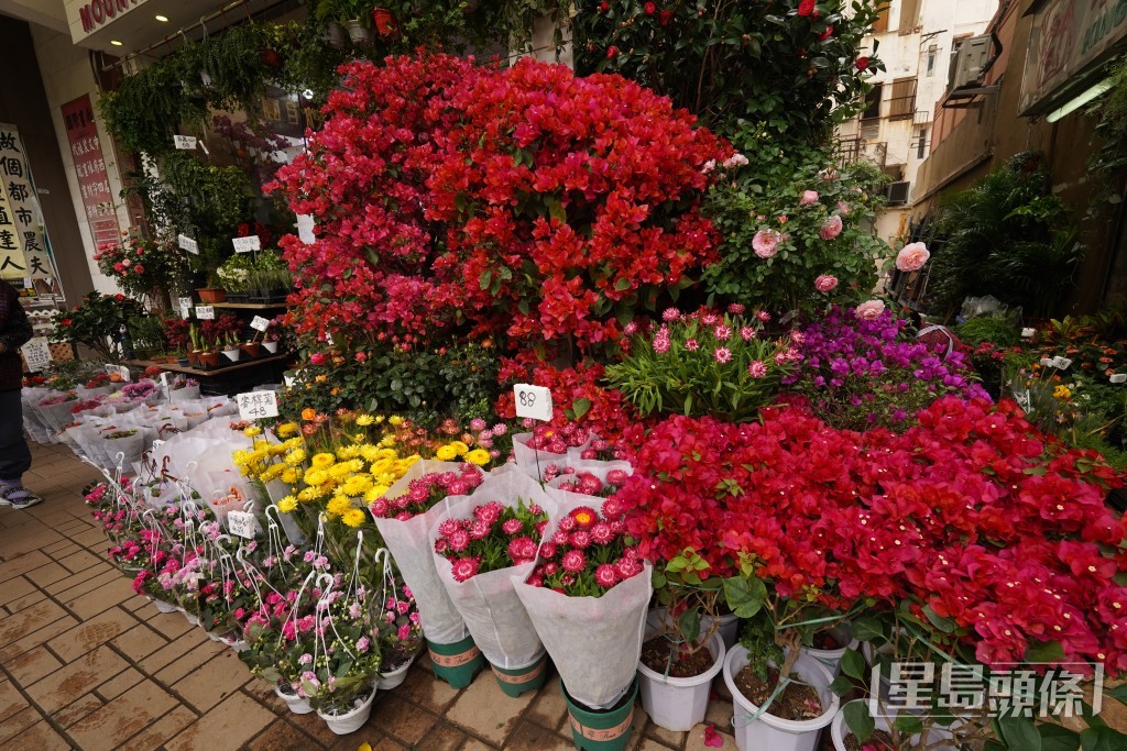 麦中杰指，较早前曾经进行调查，访问60多间花墟店舖，逾半受访者认为需要扩充空间。资料图片