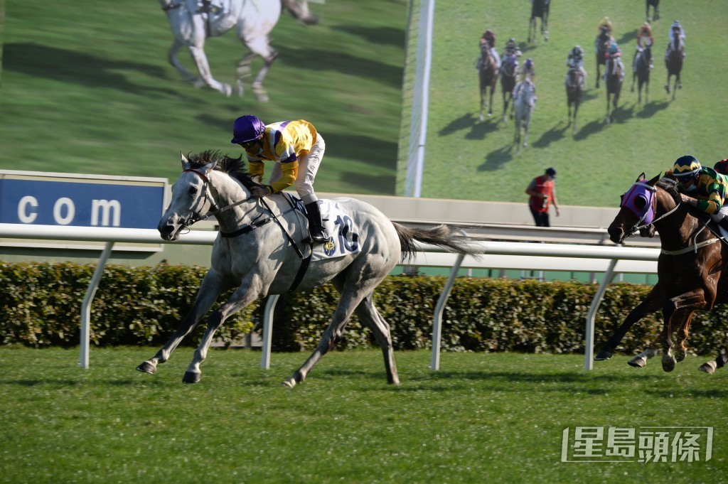 潘明輝曾夥拍「龍鼓飛揚」攻下百周年紀念瓶。