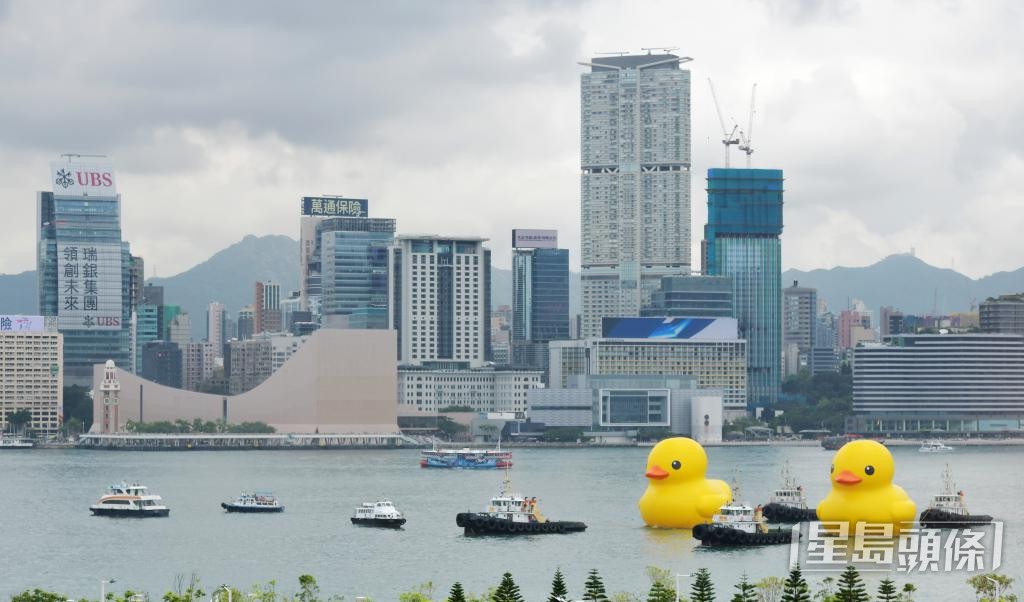 疫情陰霾未散，SK把黃色巨鴨帶回香港，為香港注入正能量。