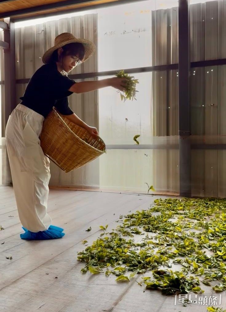 周雯婷自幼结下茶缘，去年到云南学习茶艺。 受访者提供