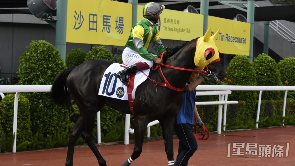 「香港精神」有機會再次走入前列，甚至擊敗對手贏馬。