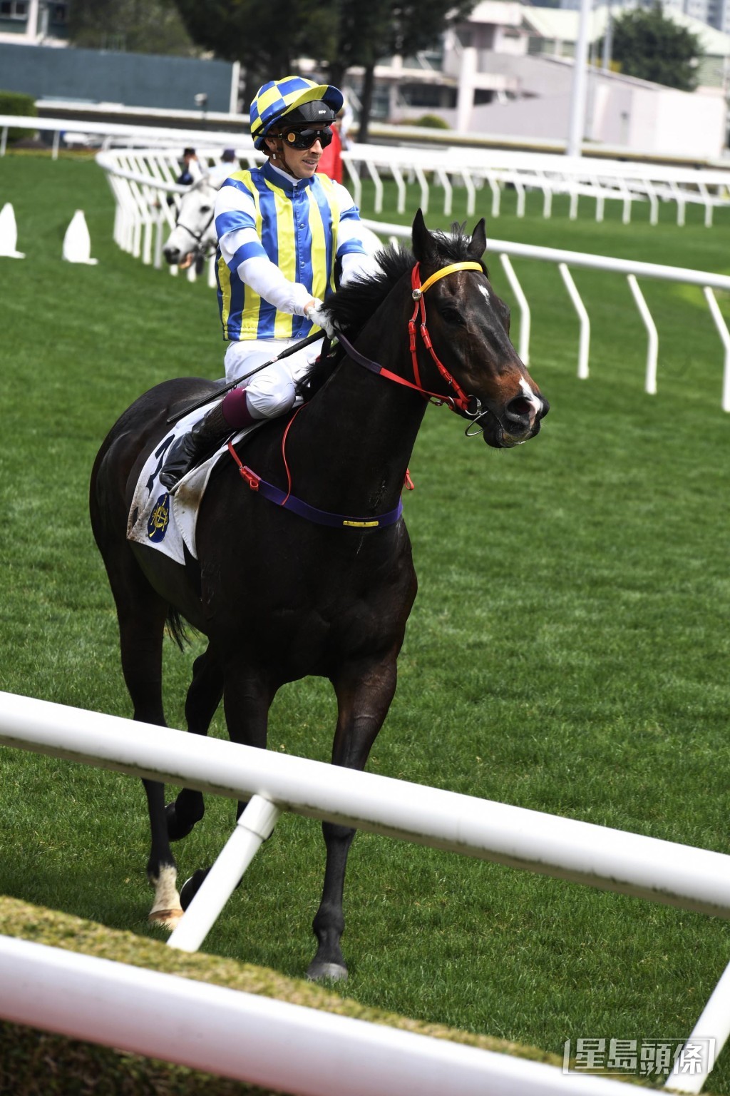 「手錶之星」今次初跑谷草千二米，有望在此取勝。