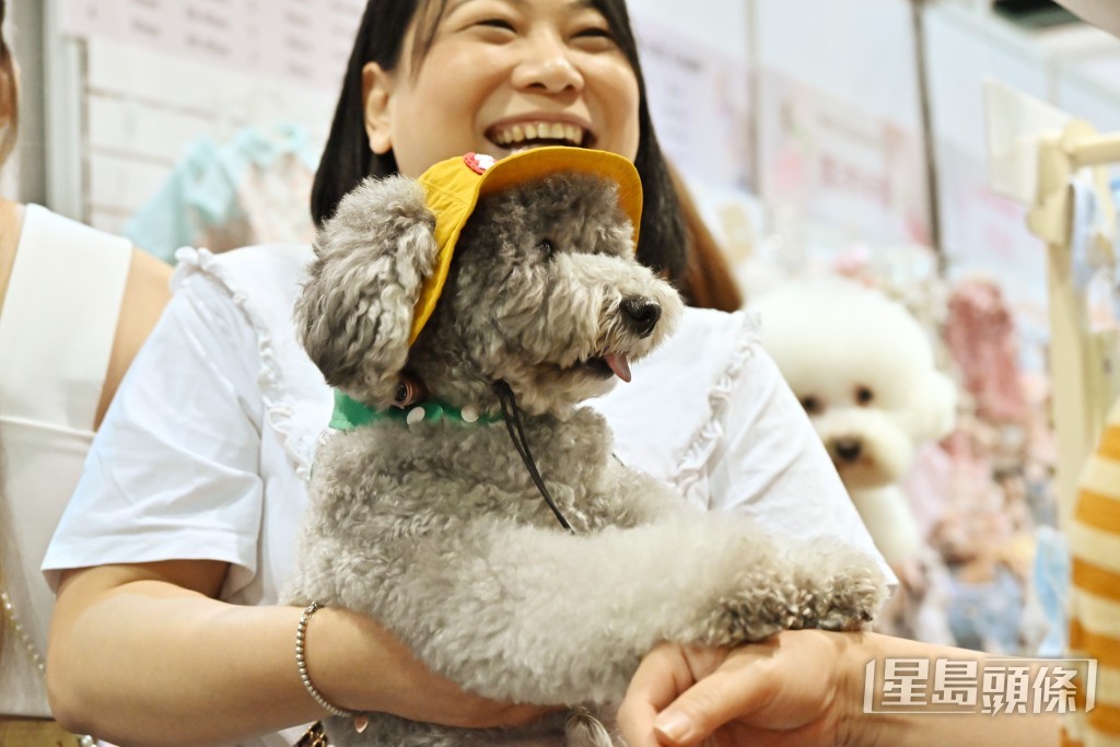 陳曼琪就議員議案「積極拓展香港新經濟增長點」提出修正案,建議加入「寵物經濟」。資料圖片 陳曼琪就議員議案「積極拓展香港新經濟增長點」提出修正案,建議加入「寵物經濟」。資料圖片