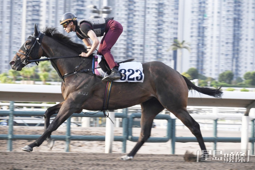 「巴閉佬」四蹄盡展衝刺，過終點猶有餘勢。