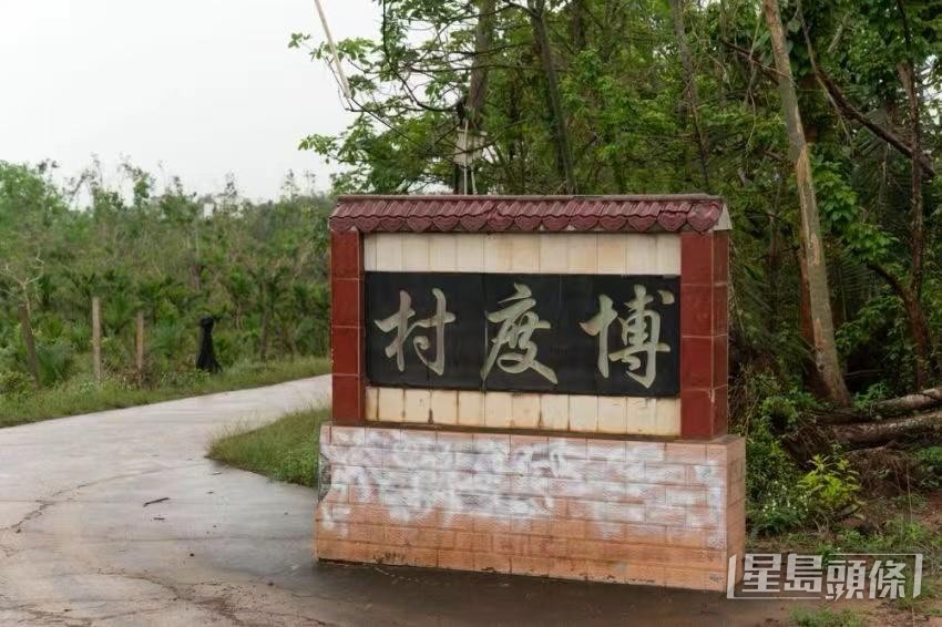  紅樹林修復項目位於海南島東寨港博度村自然保護區。