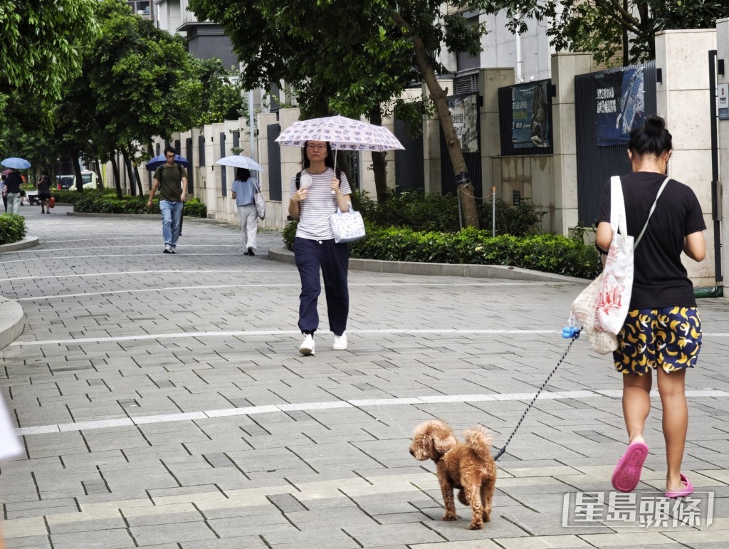 食環署回覆查詢時表示,署方於去年6月至今年6月期間就啟德區內狗隻便溺問題共接獲24宗投訴。陳俊豪攝 食環署回覆查詢時表示,署方於去年6月至今年6月期間就啟德區內狗隻便溺問題共接獲24宗投訴。陳俊豪攝