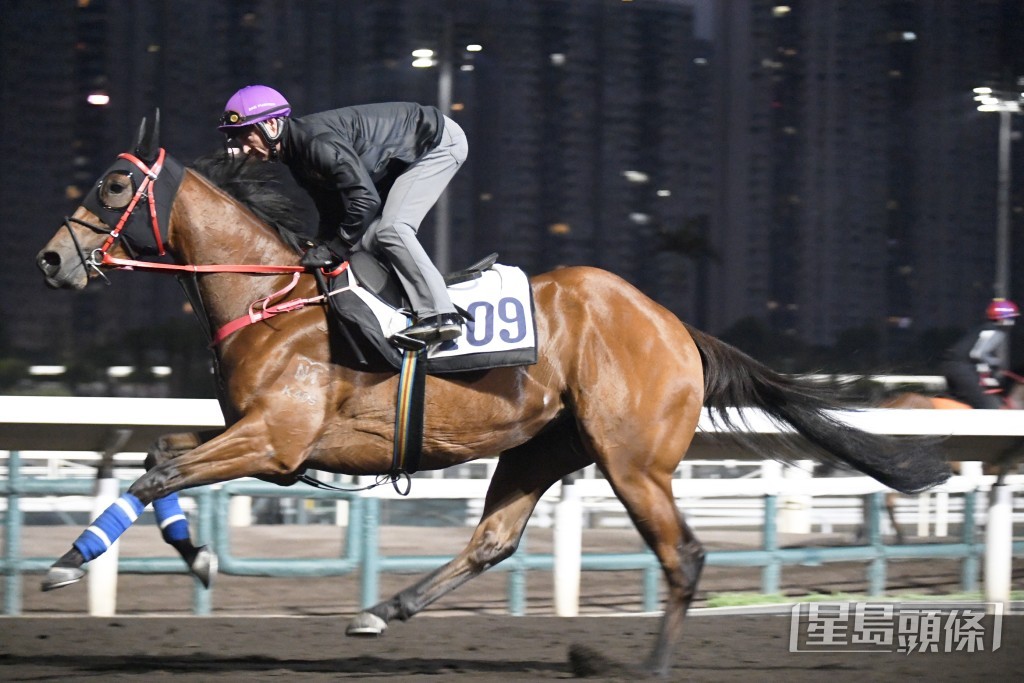 「显胜高升」今朝课后潘顿同罗富全相当好倾，期间更手舞足蹈多多表情。