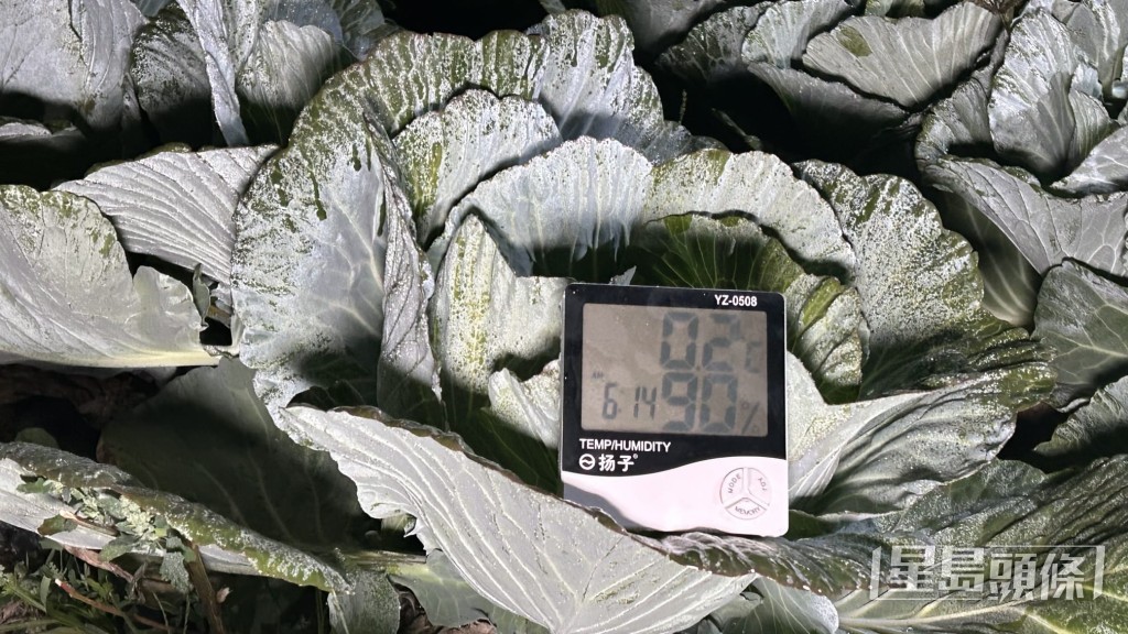 記者現場錄得最低溫僅為0.2度。蔡楚輝攝 記者現場錄得最低溫僅為0.2度。蔡楚輝攝