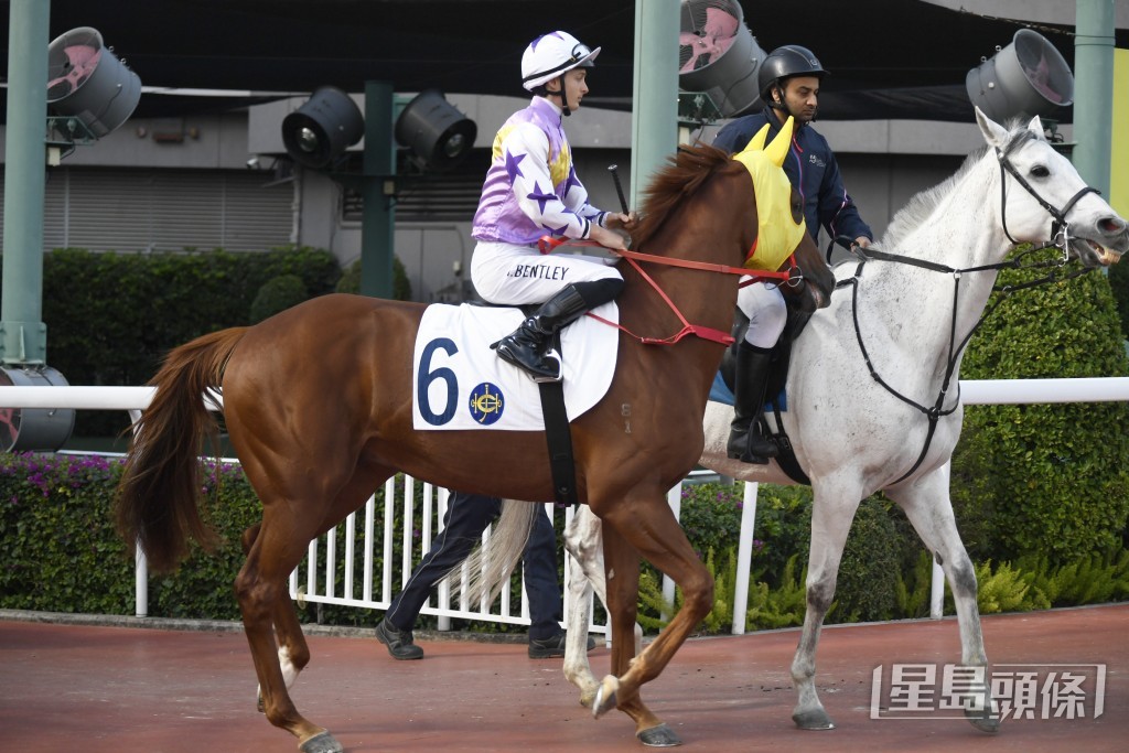 「紫荆盛势」匆匆再出，出战第十一场三班千六米。