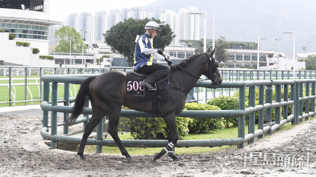 今朝「光輝歲月」遲至八點鐘才安排彈泥閘。