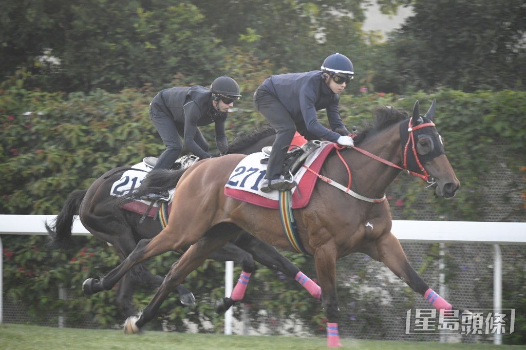 「有盈勇士馬身好靚好壯，新勝猶勇朝氣勃勃。