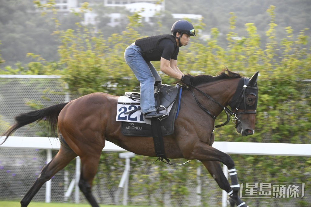 「顏色之皇」神情專注目光如炬，火氣又好勇況十足。