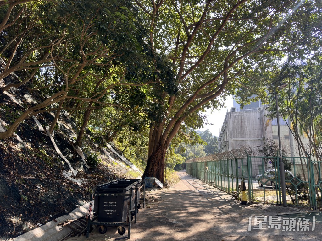 婆婆跌倒山坡路边受伤。梁国峰摄